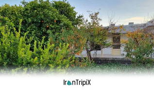 Doscin Eco Lodge Dareshahr Valley
