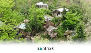 Treehouse Resort Golegah
