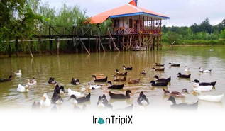 Villa Ab Residence Rasht